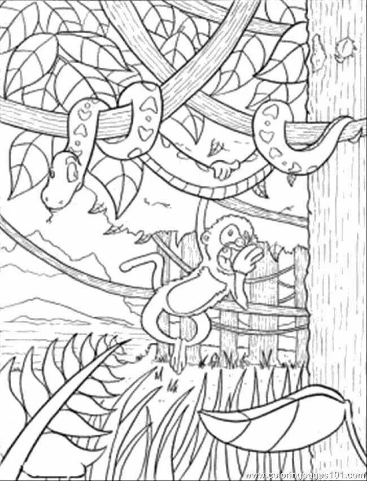 Coloring book outstanding jungle animals
