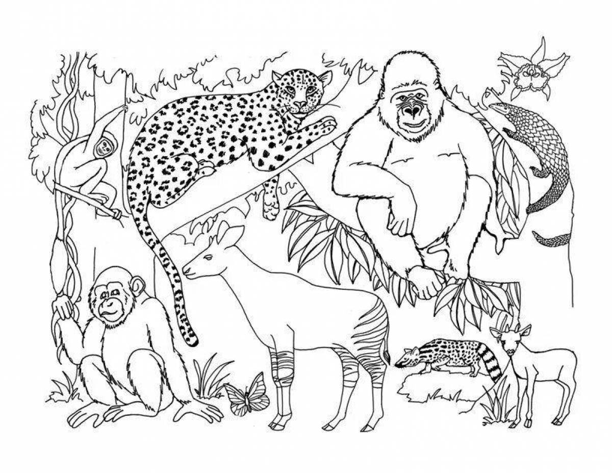 Раскраска милые животные джунглей
