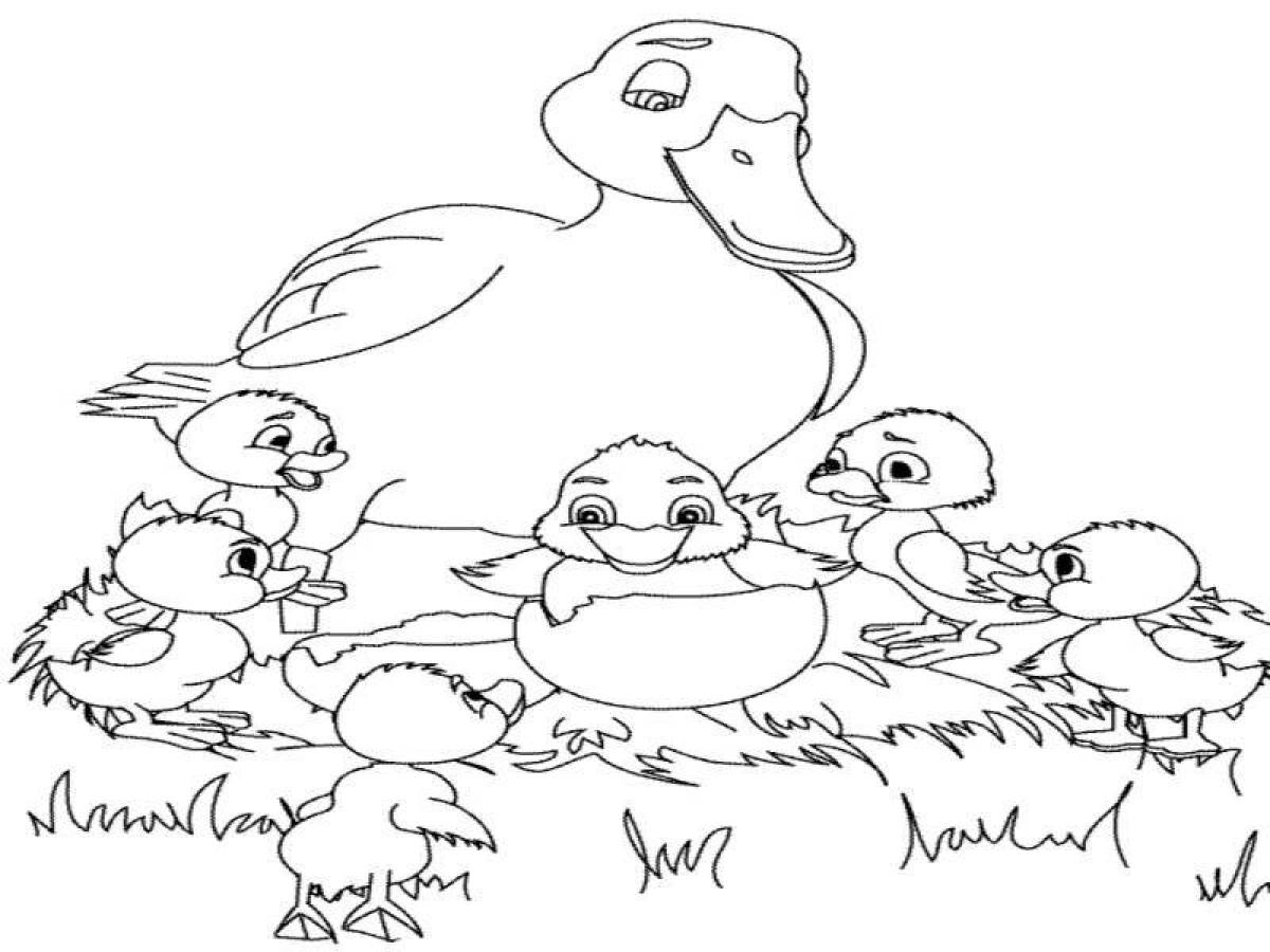 Фото Color-explosion ducks and guys coloring page