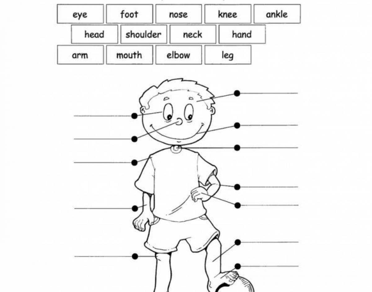 Задания по английскому языку части тела для дошкольников