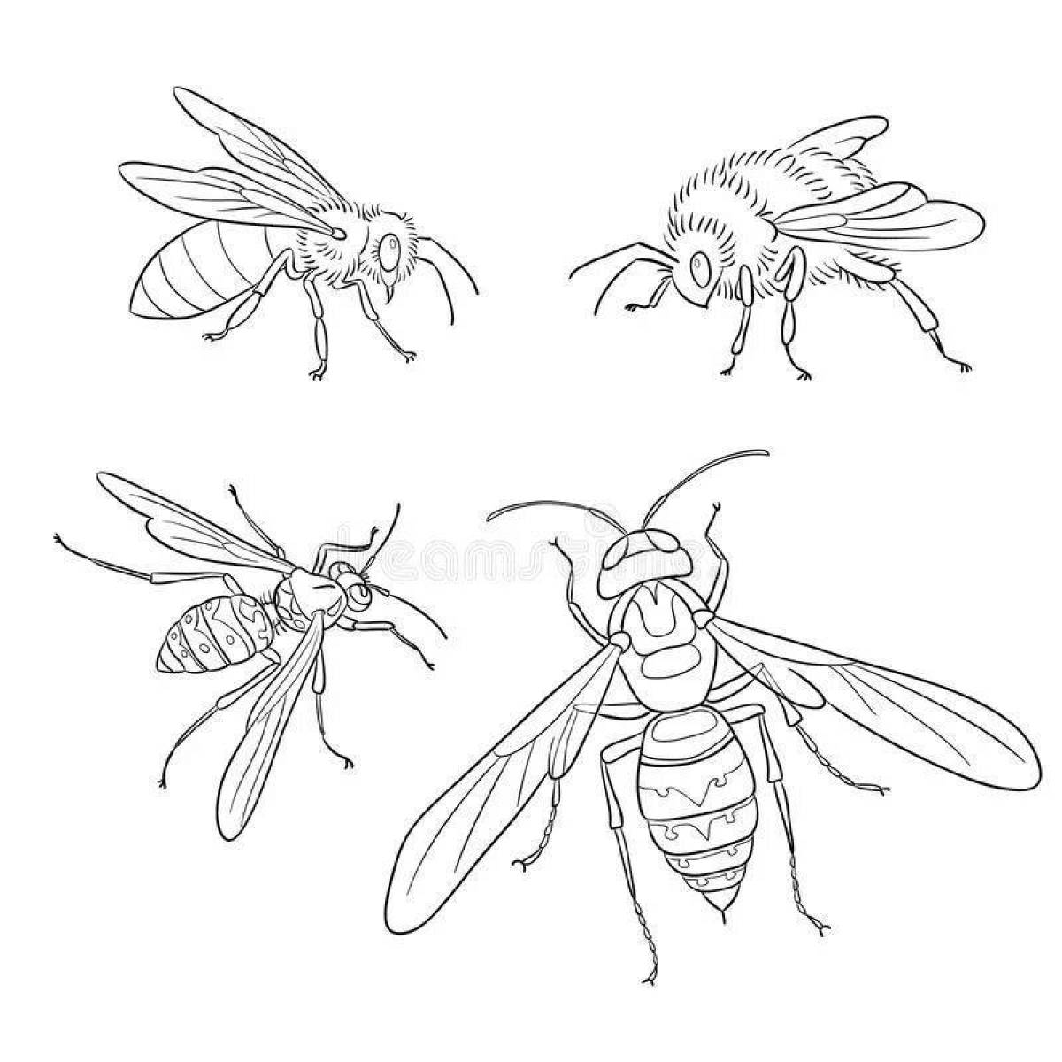 Пчела и Оса раскраска