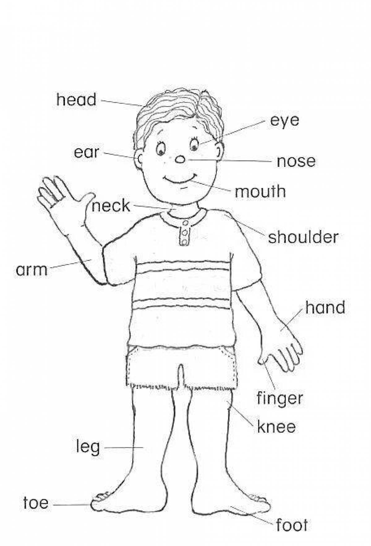 Coloring page of colorful body parts