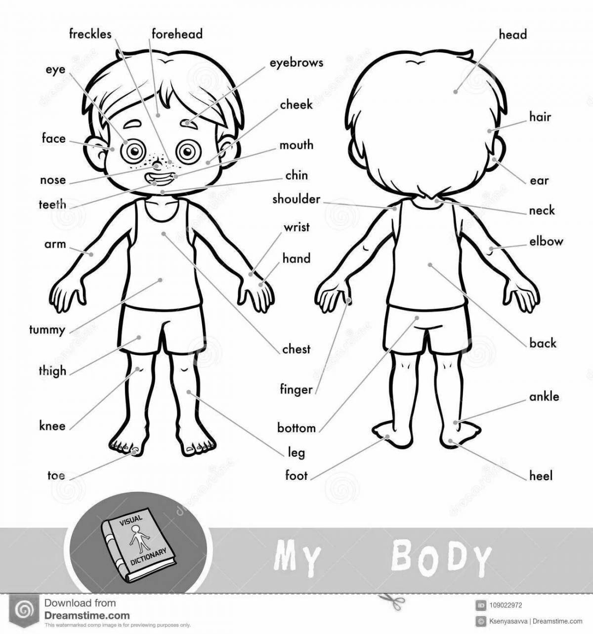 Coloring page of body parts
