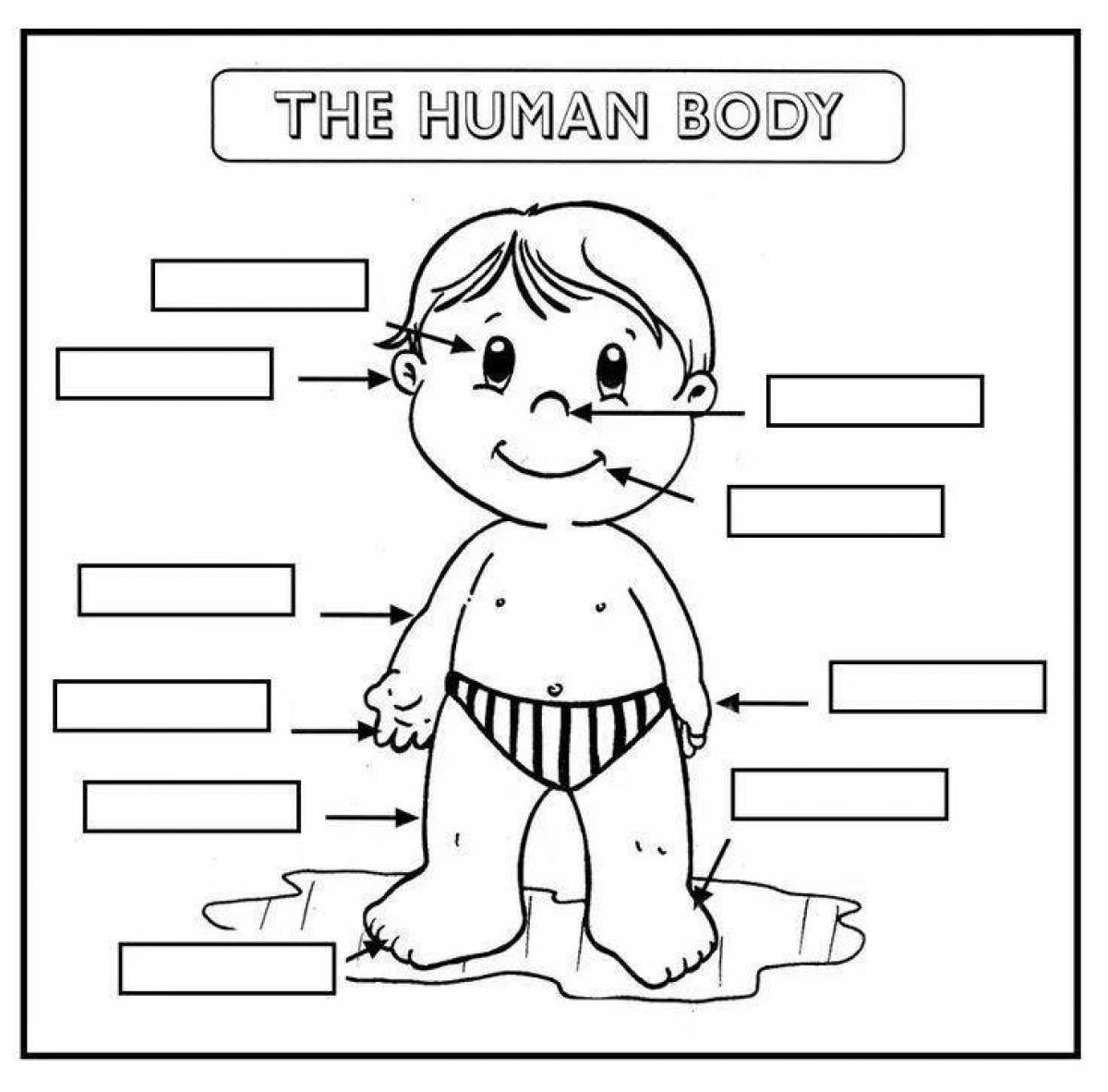 Colorful English body parts coloring page