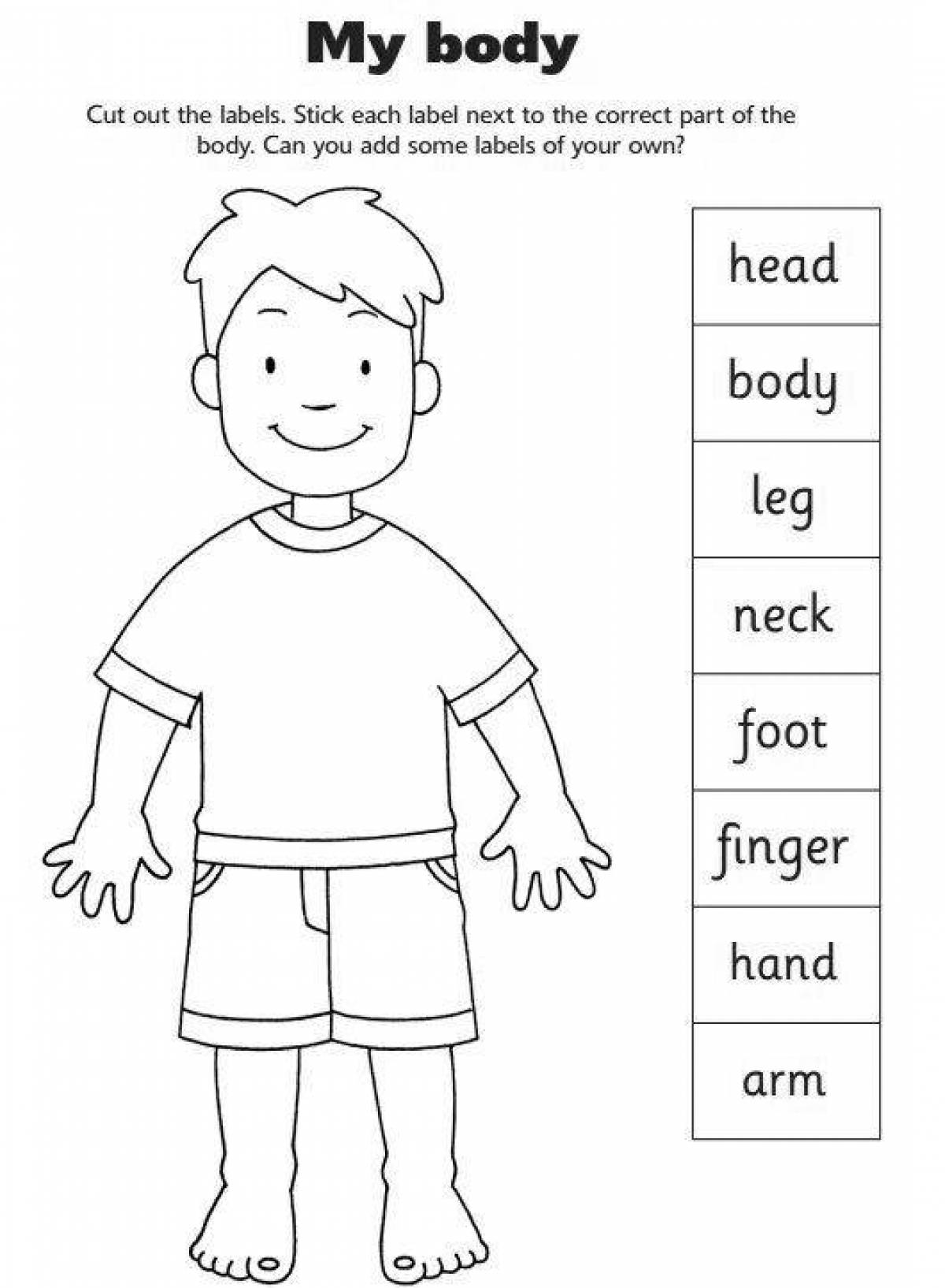 An entertaining coloring page of body parts in English