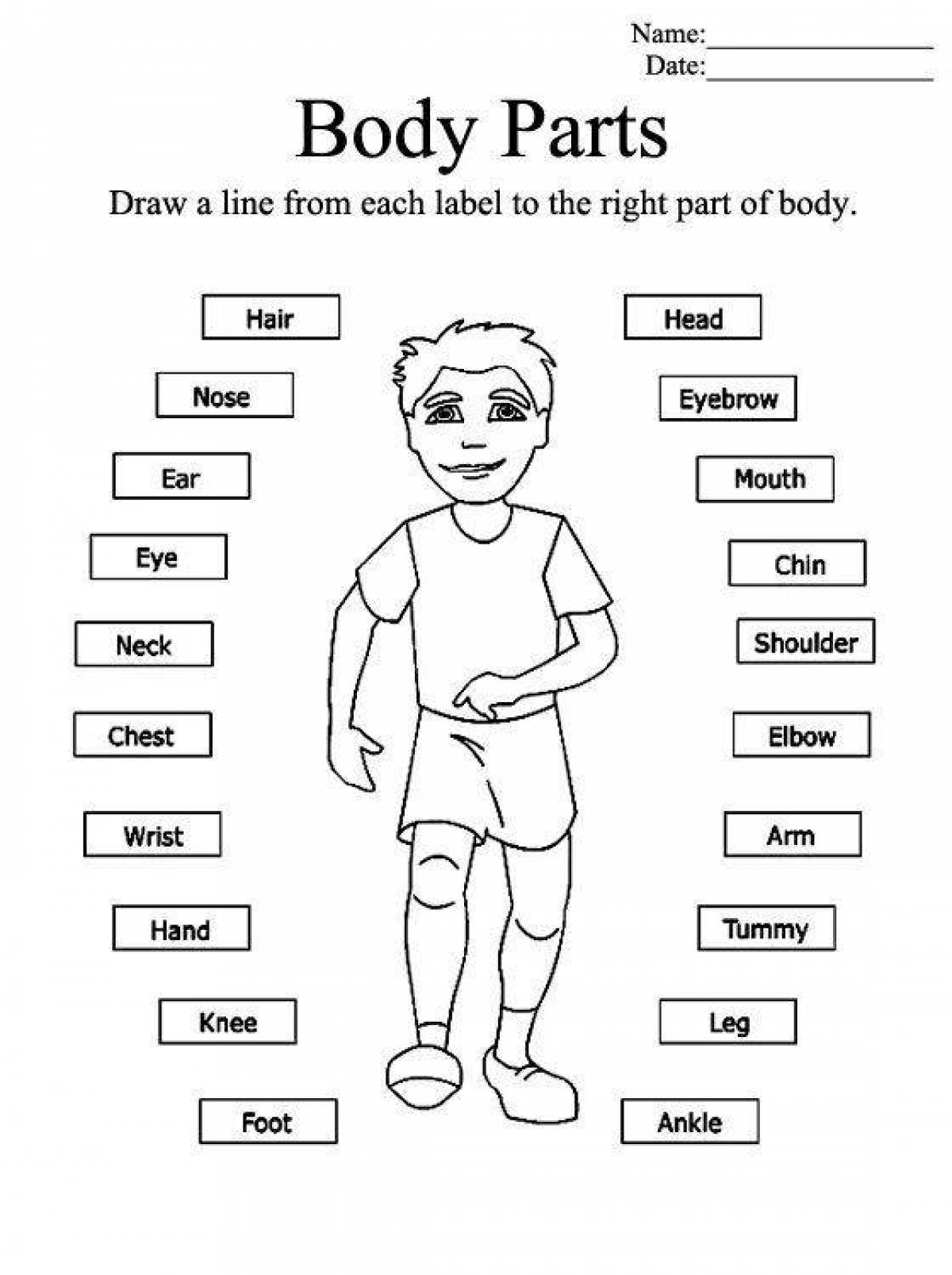 Drawing body parts in english coloring book