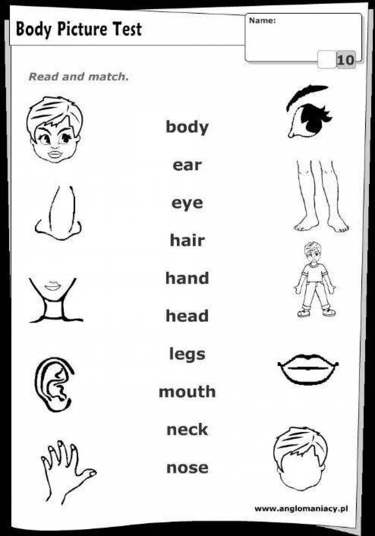 Fun body parts in english coloring book