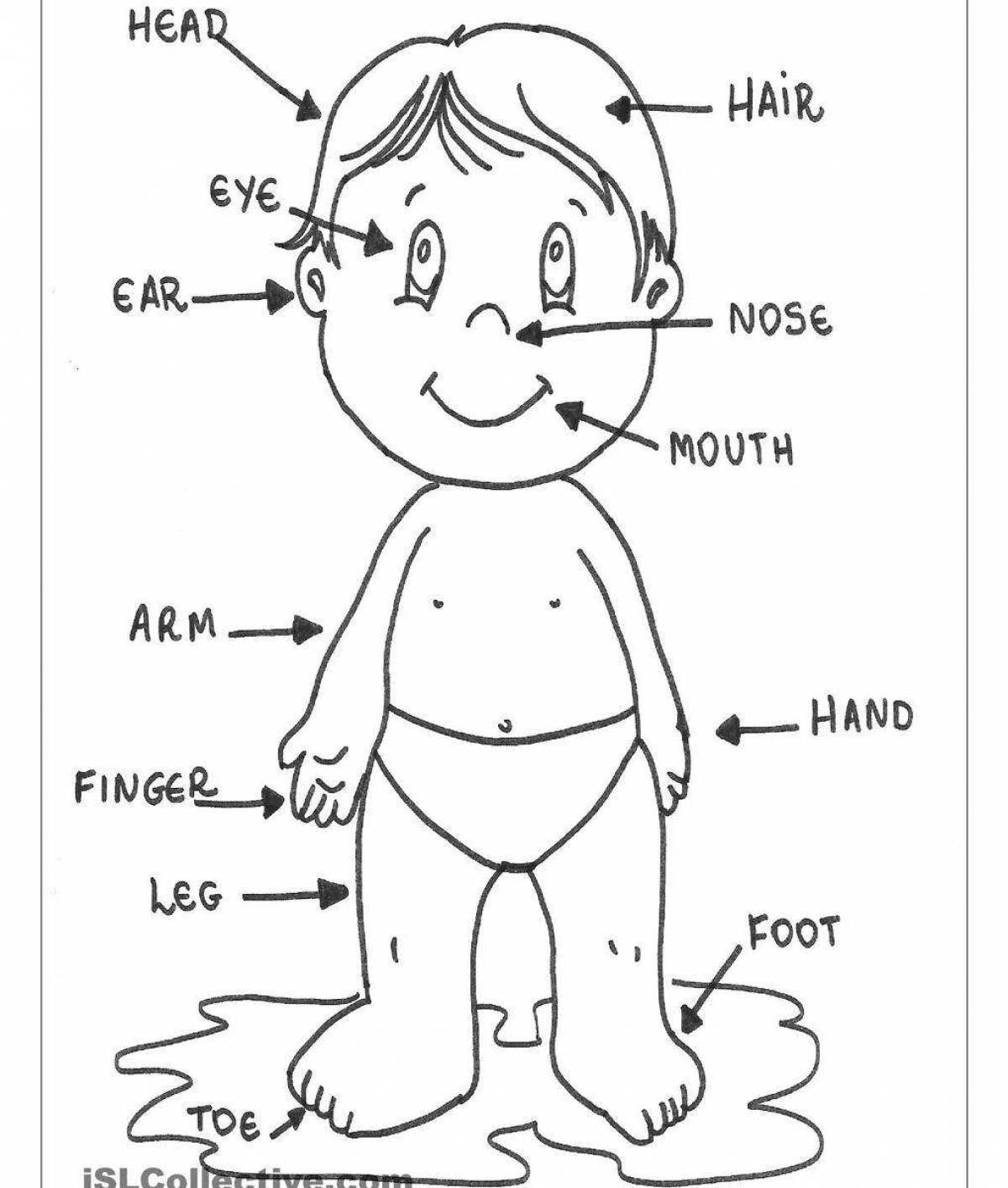 Fun english body parts in english coloring pages