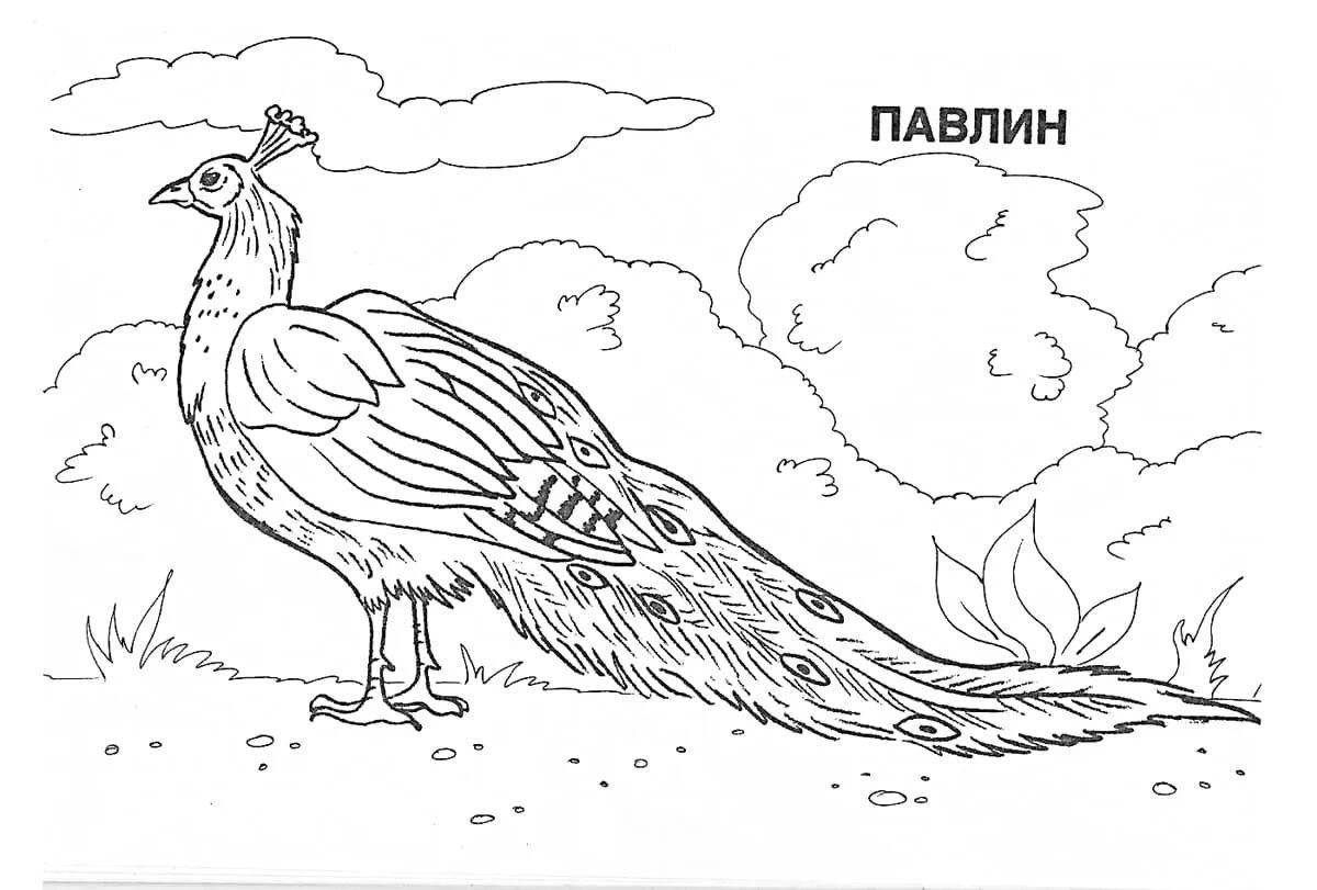 Светящаяся красная книга россии «животные и растения»