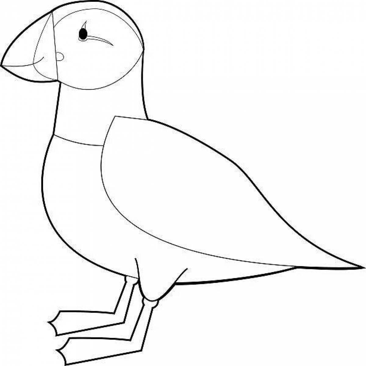 Colorful puffin coloring book