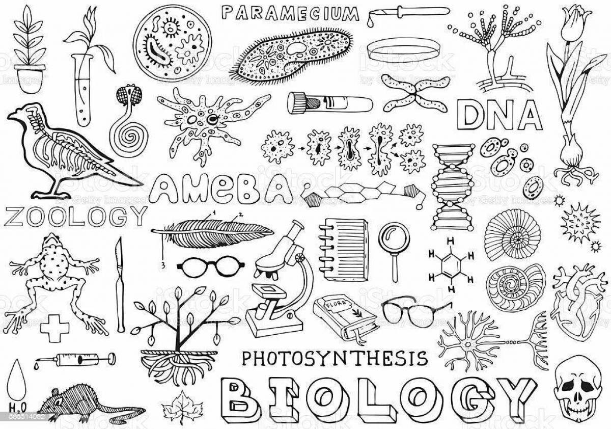 Рисунки для конспектов по биологии маленькие