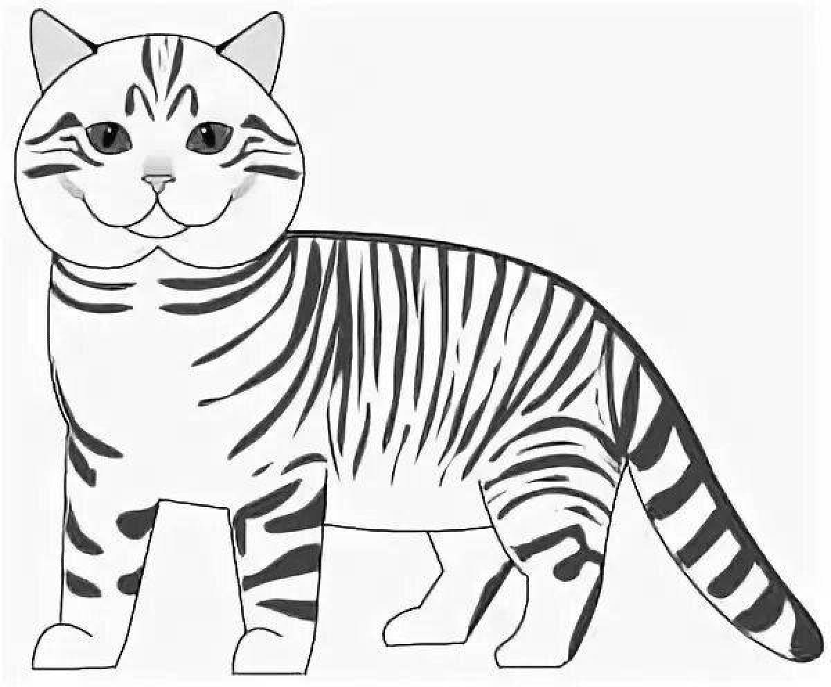 Раскраска котик с полосками