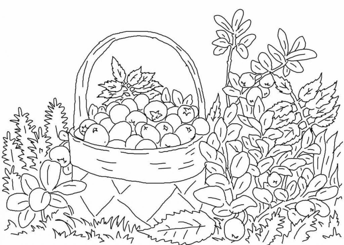 Charming blueberry coloring book