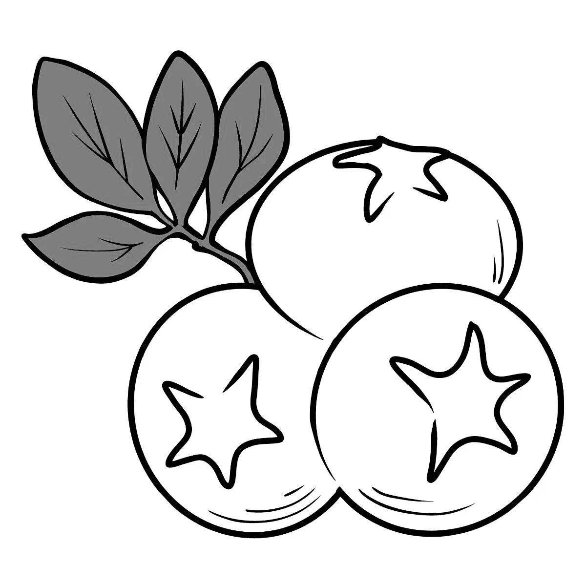 Sunny blueberry coloring page