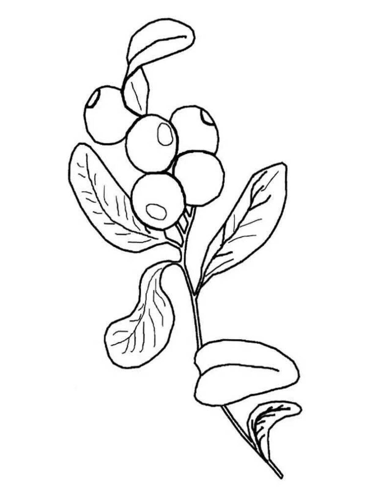 Cute blueberry coloring book