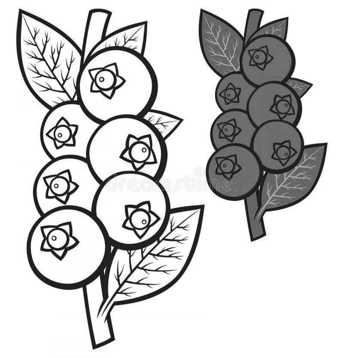 Awesome blueberry coloring page