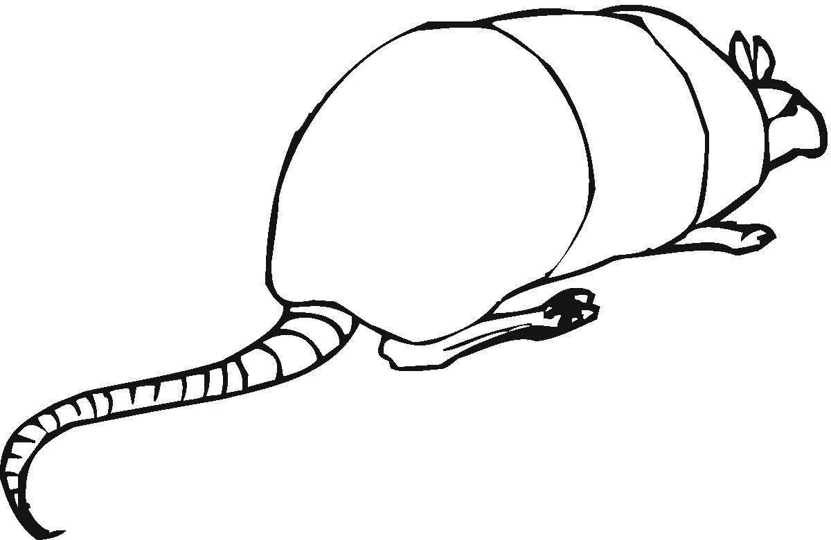 Playful armadillo coloring page