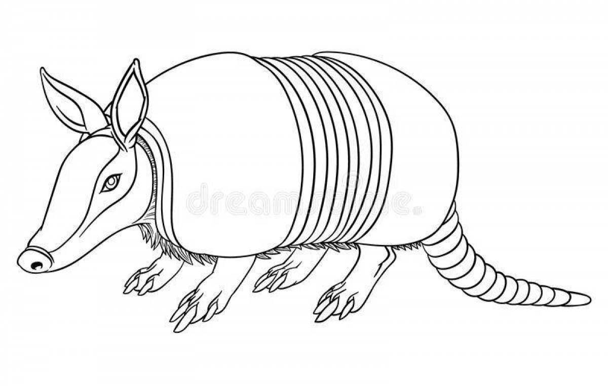 Cute armadillo coloring page