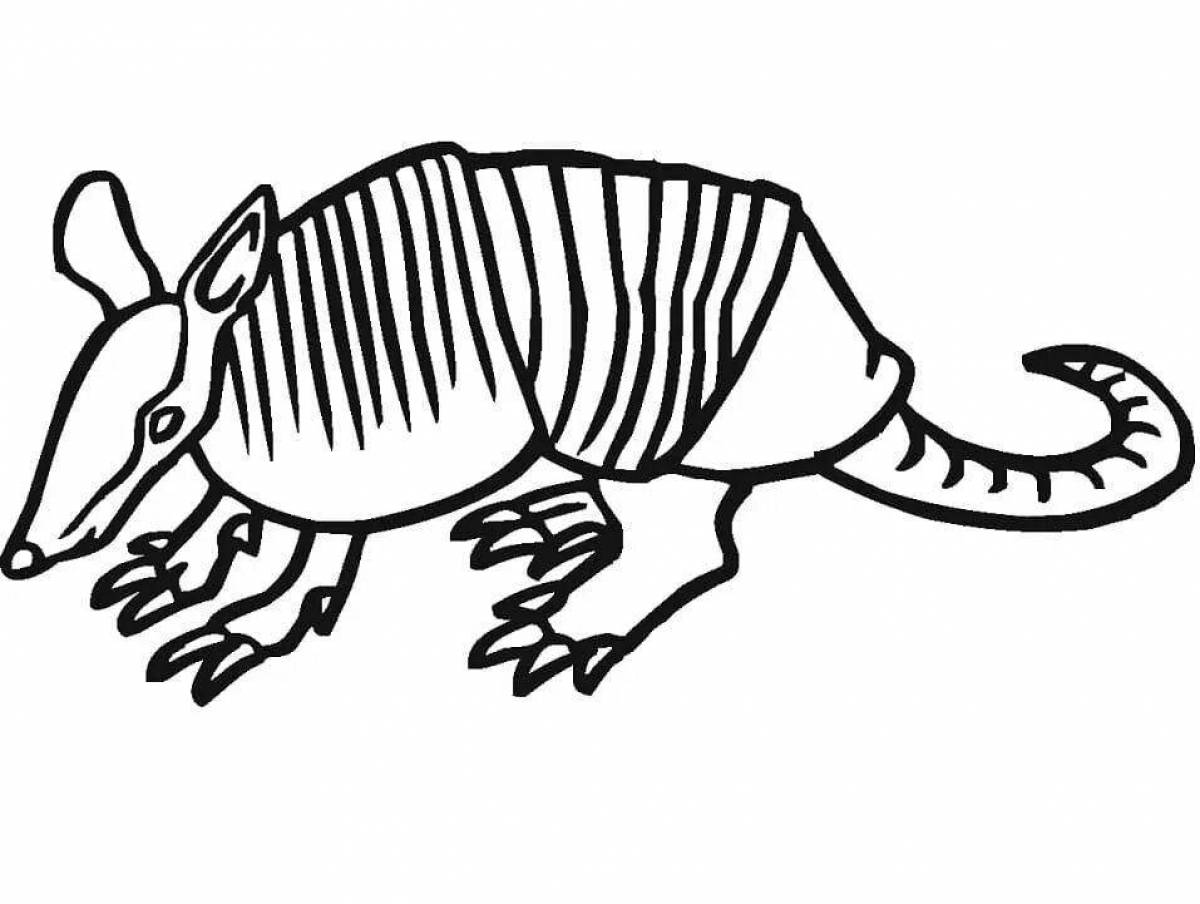 Armadillo live coloring