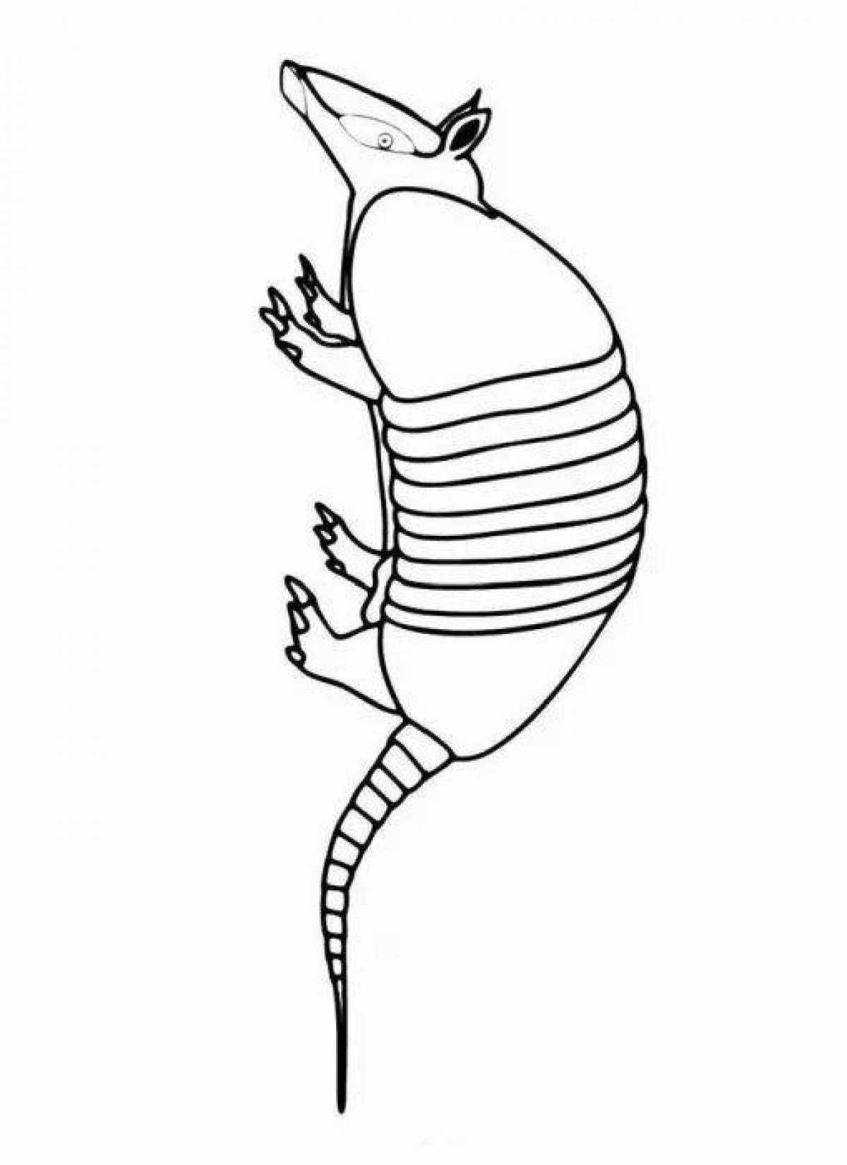 Animated armadillo coloring page