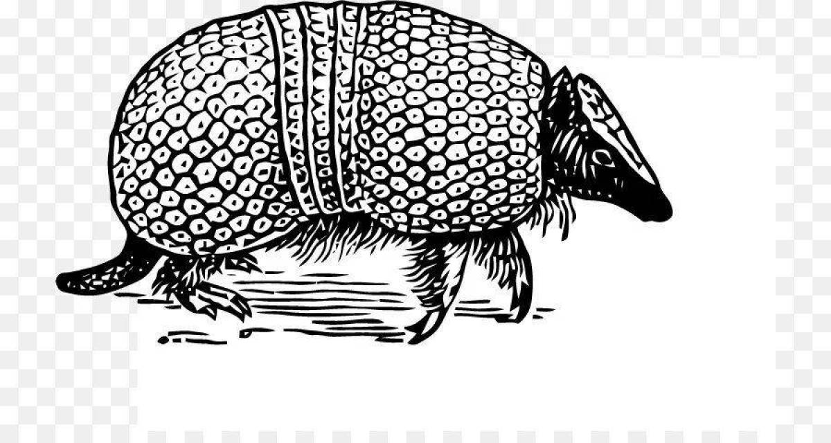 Armadillo #3