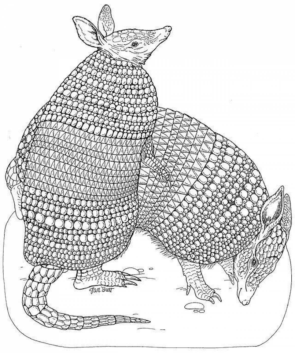 Armadillo #10