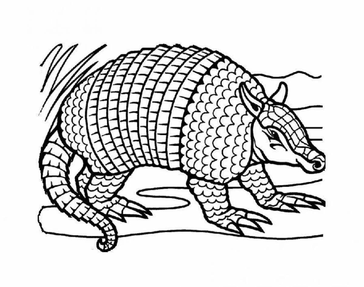 Armadillo #16