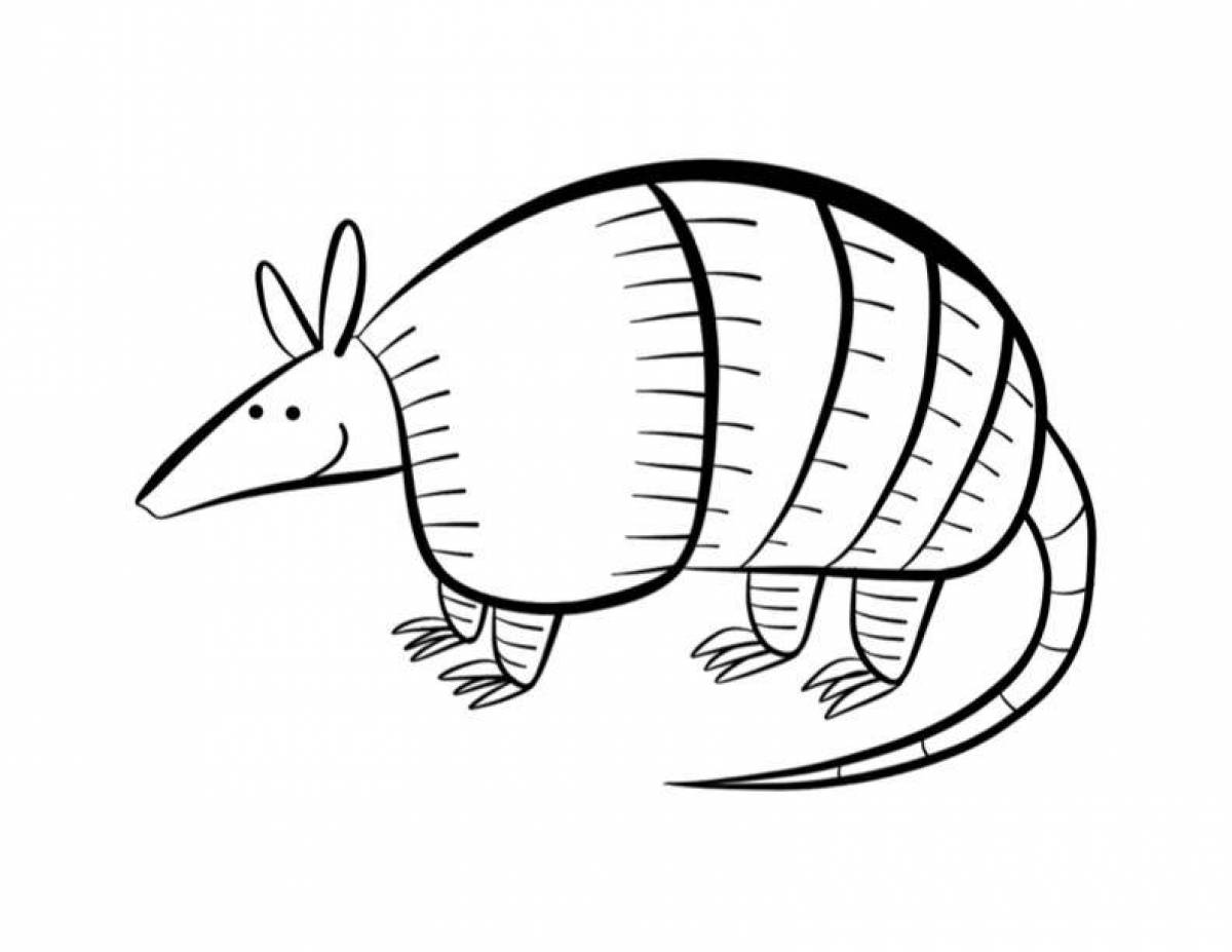 Armadillo #18