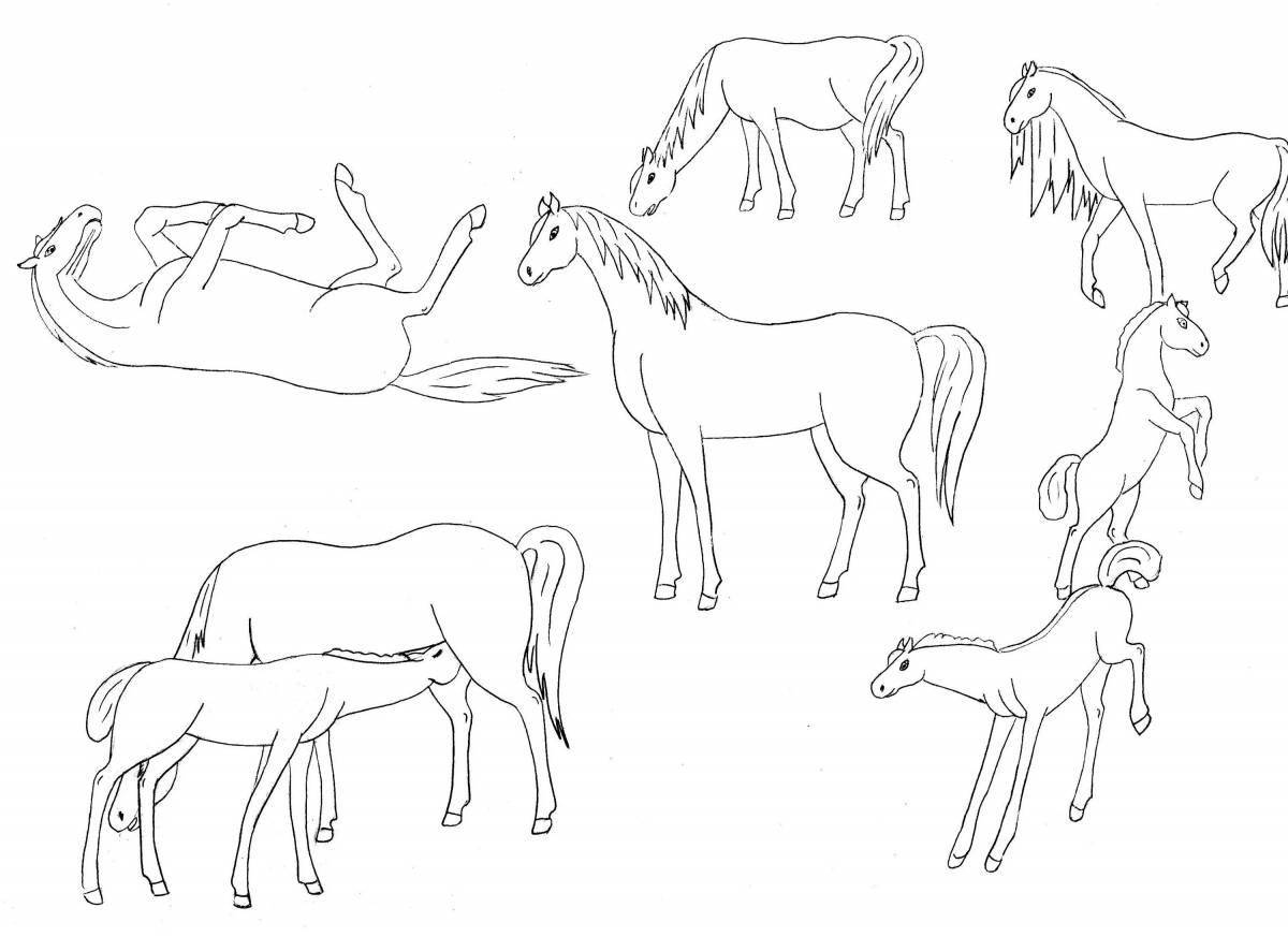 Coloring page shining grazing horses