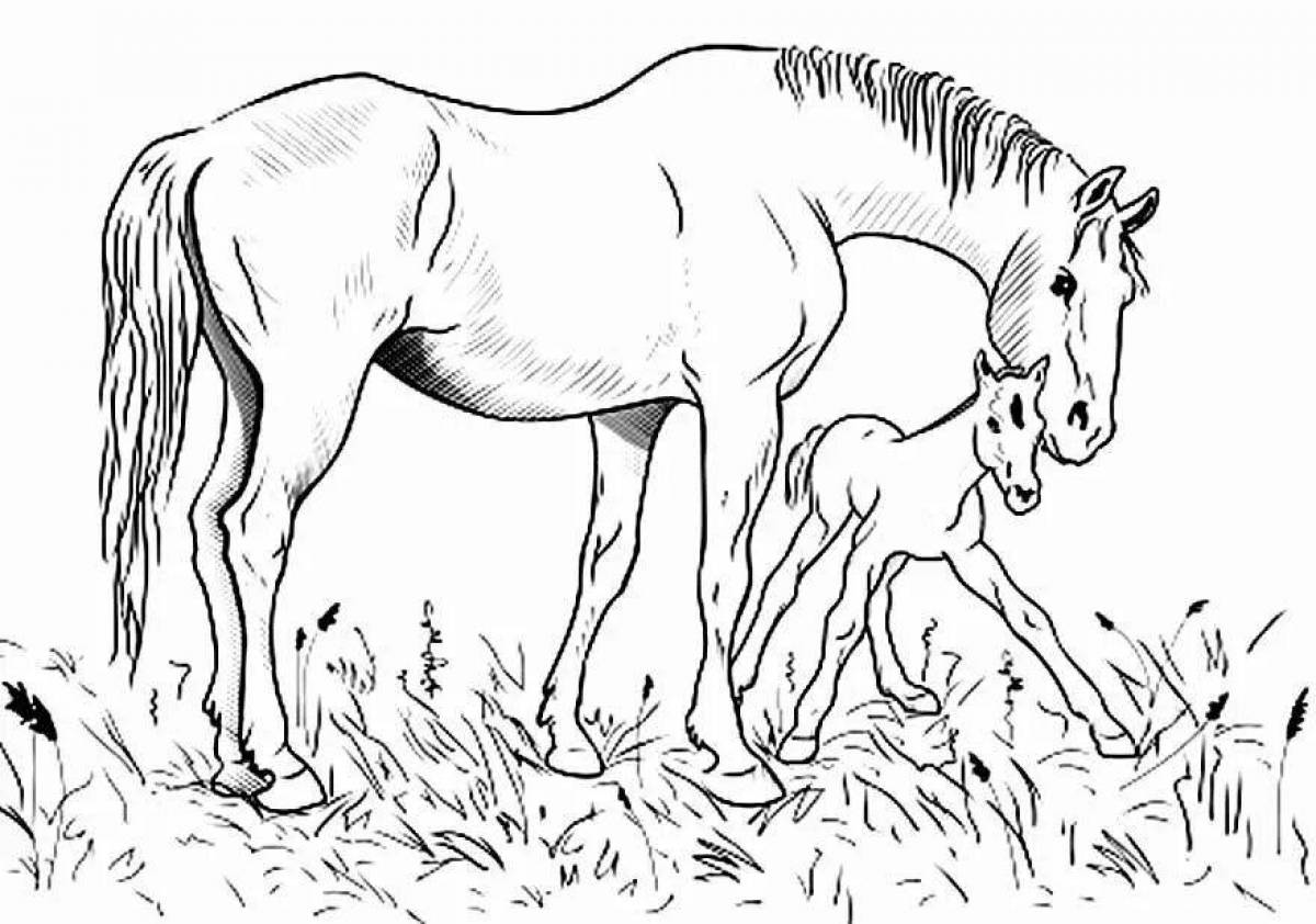 Adorable grazing horses coloring page