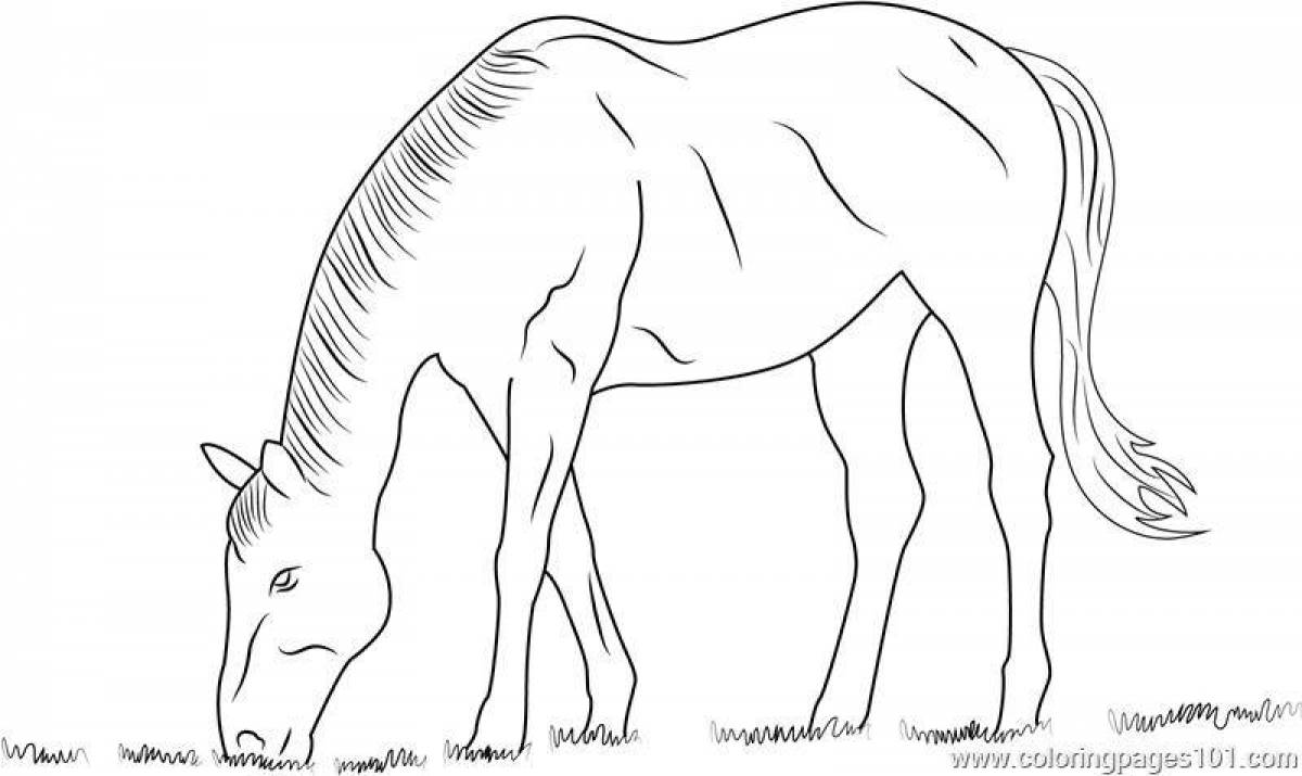 Glowing grazing horse coloring page