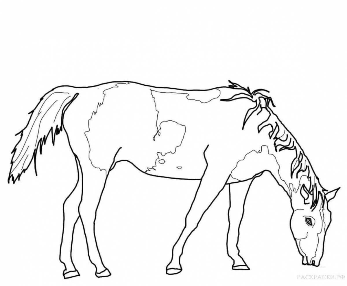Glittering grazing horses coloring page