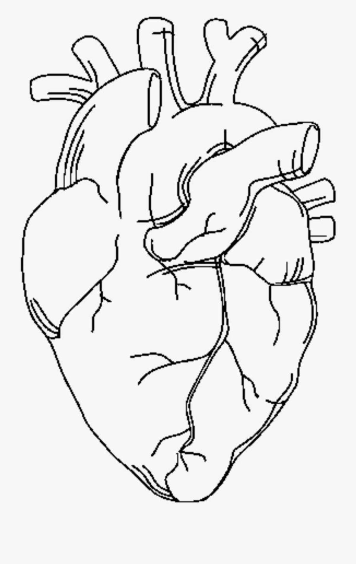 Фото Страница раскраски сложной анатомии сердца