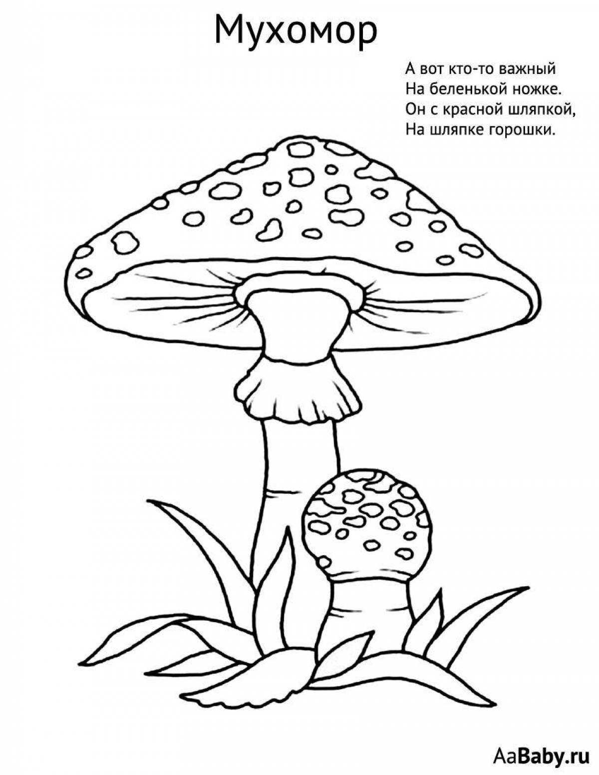 Фото Подробная раскраска ядовитые грибы