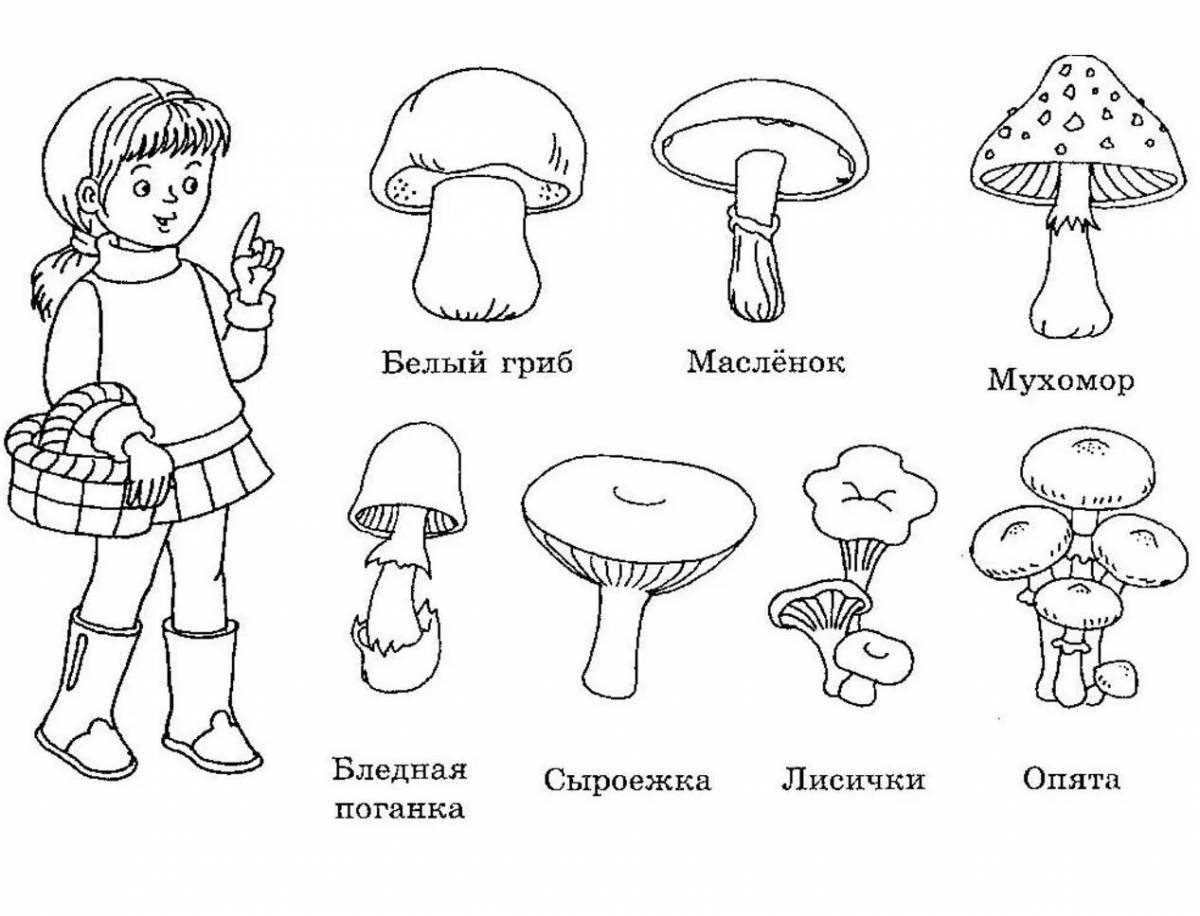 Фото Изысканная раскраска ядовитые грибы