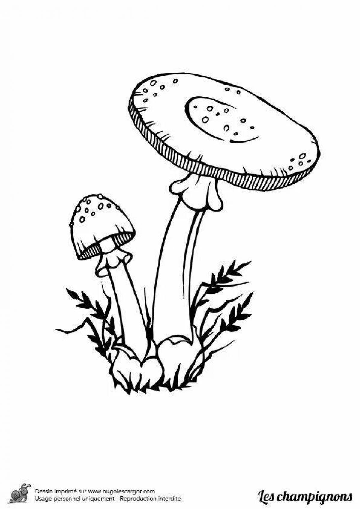 Фото Радиантная раскраска ядовитые грибы