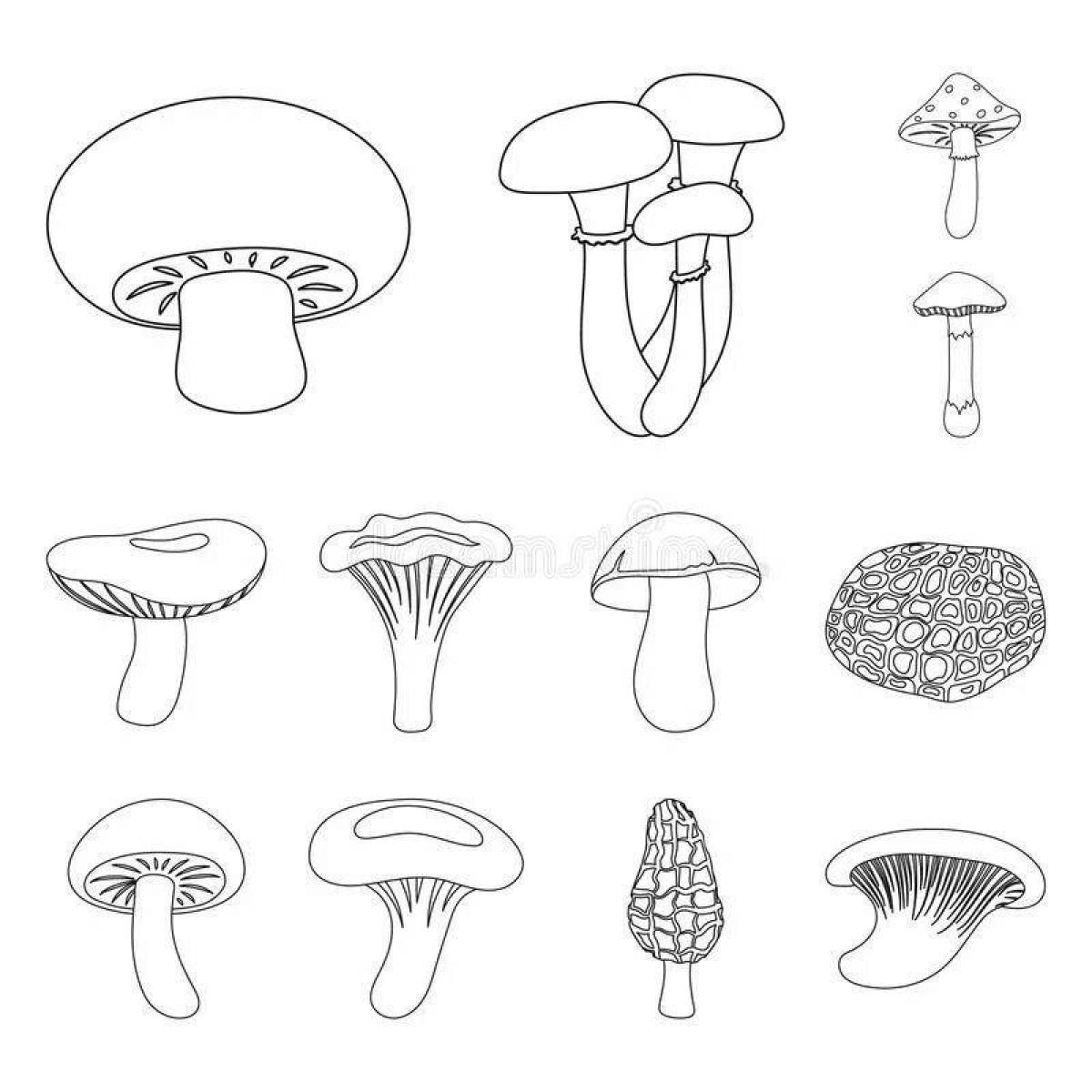 Фото Блестящая раскраска ядовитые грибы
