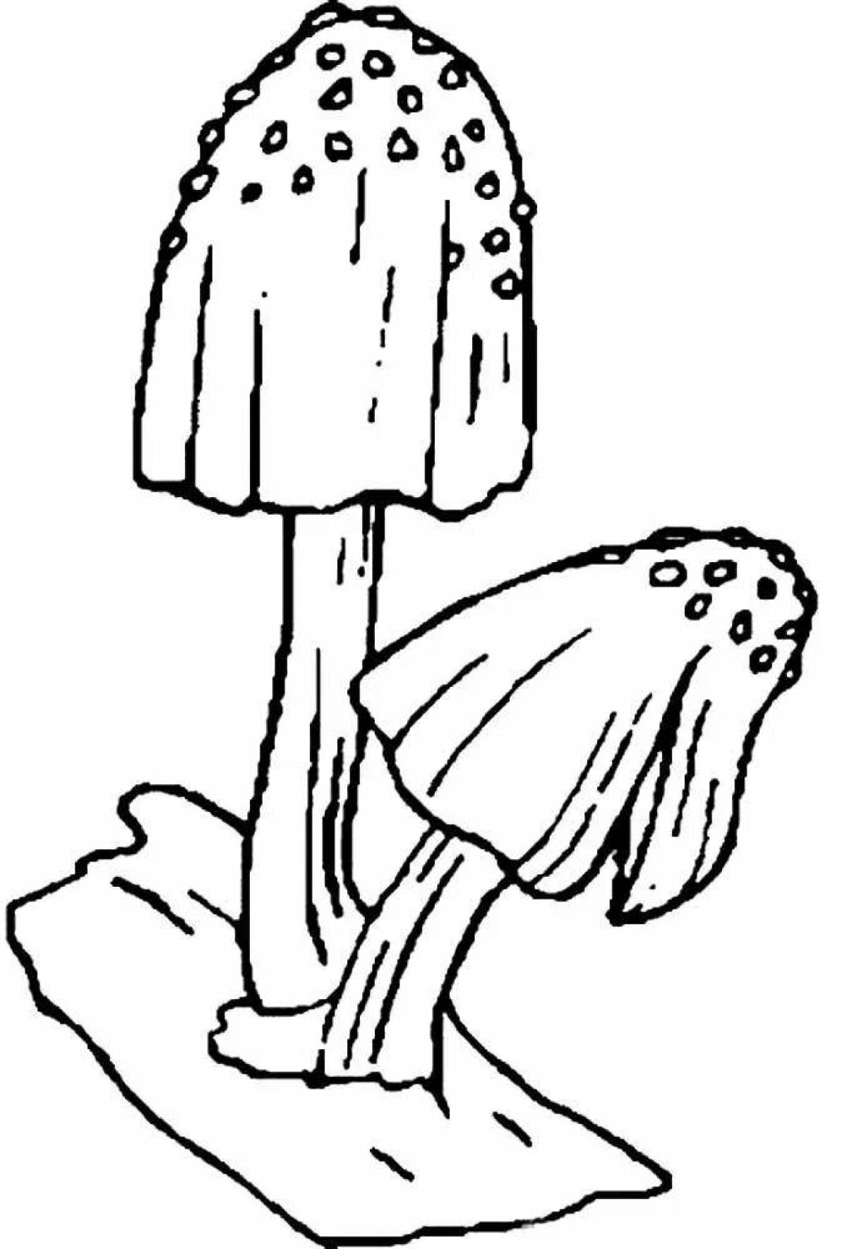 Фото Живая раскраска ядовитые грибы