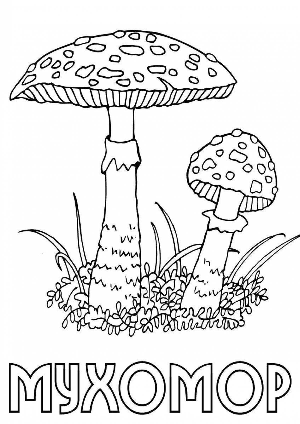 Фото Игривая раскраска ядовитые грибы