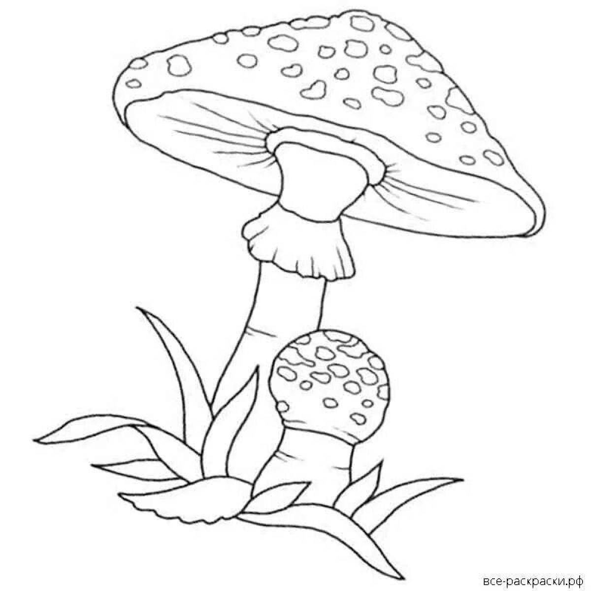 Фото Буйная раскраска ядовитые грибы