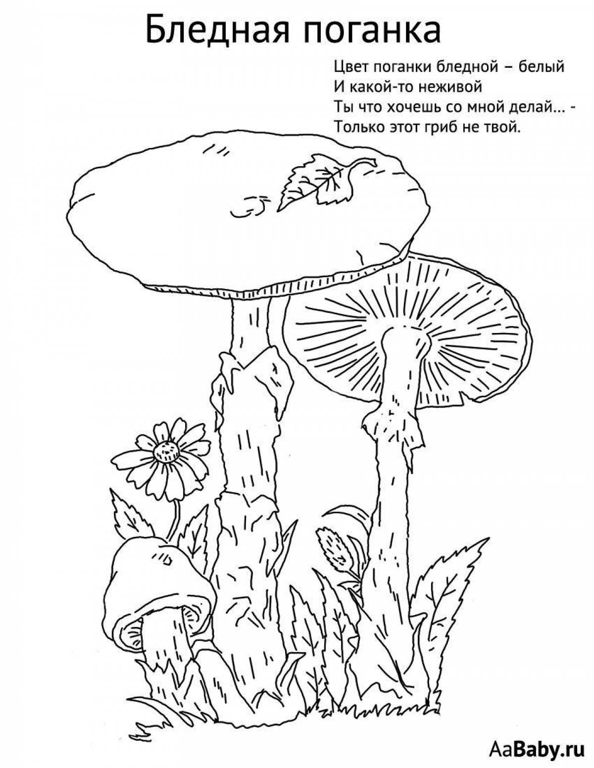 Фото Забавная раскраска ядовитые грибы