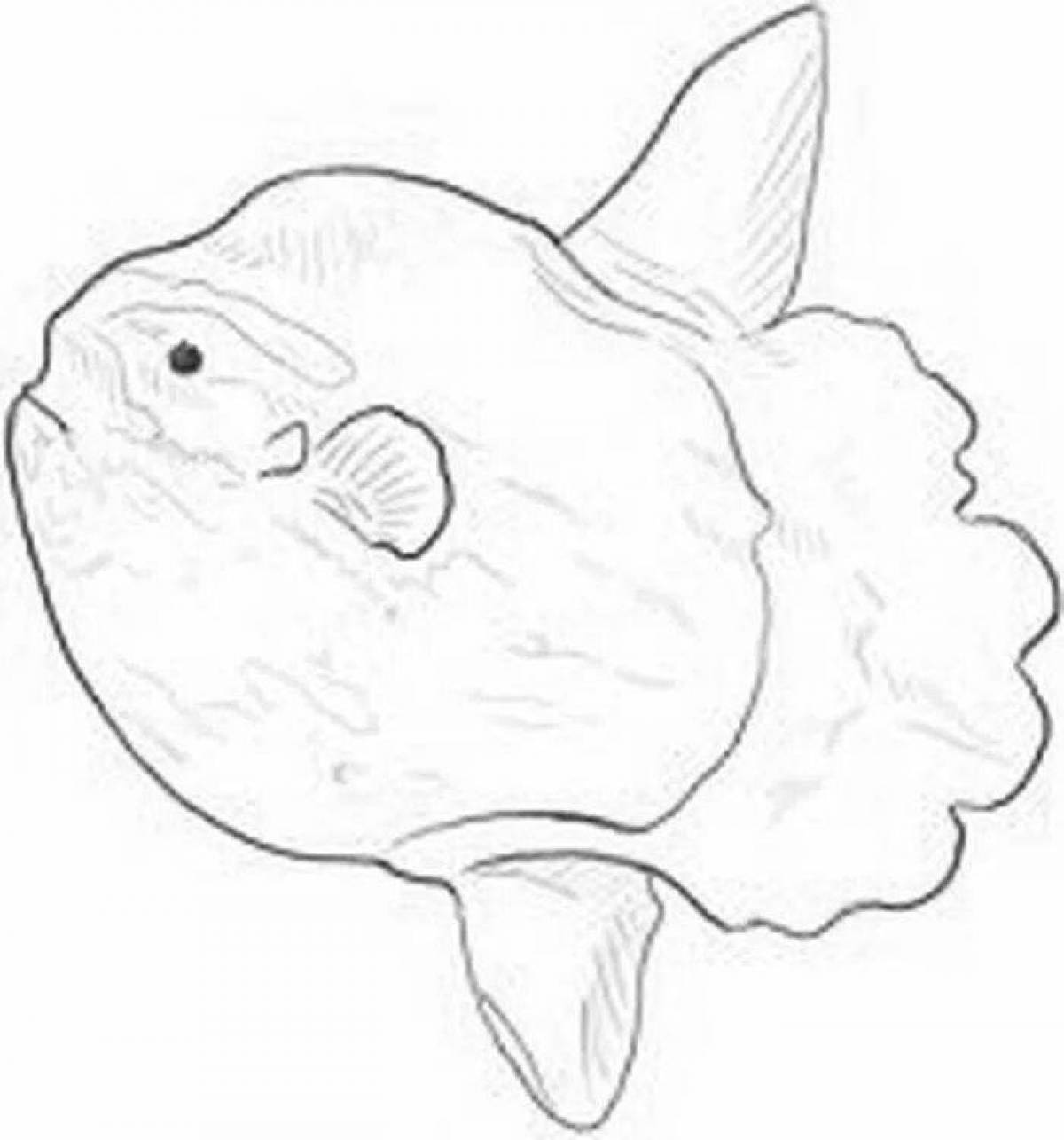 Фото Раскраска сияющая рыба-капля