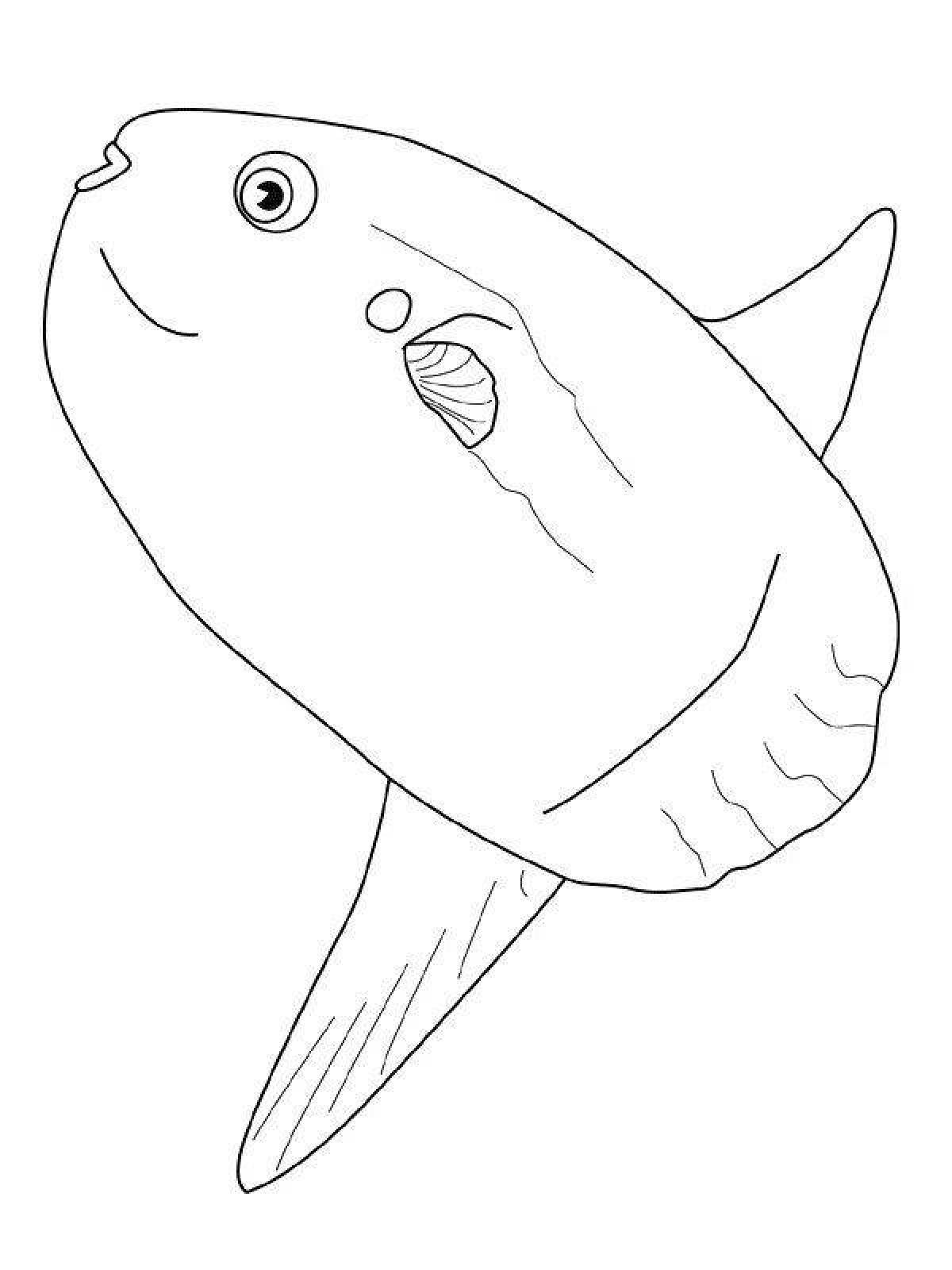 Фото Раскраска блестящая рыбка-капля