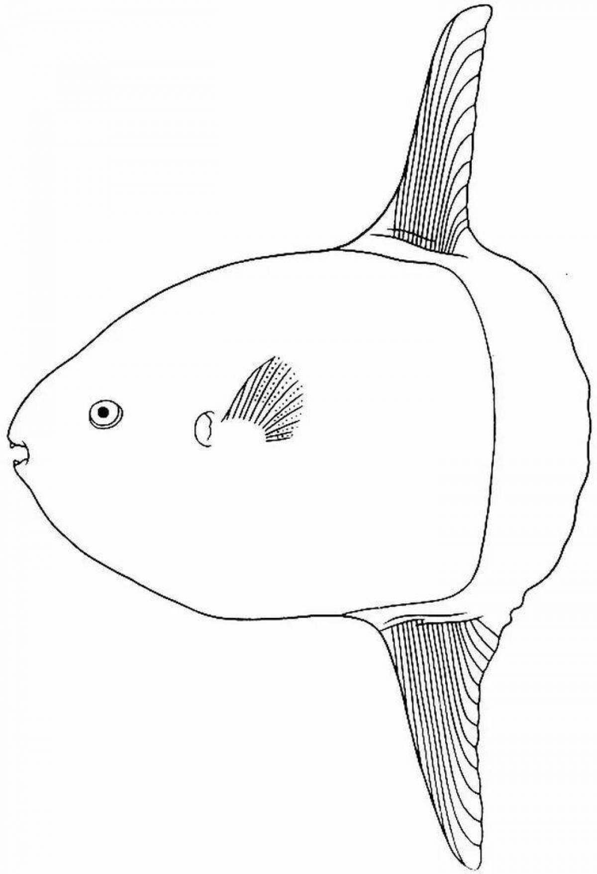 Фото Привлекательная страница раскраски рыбы-капли