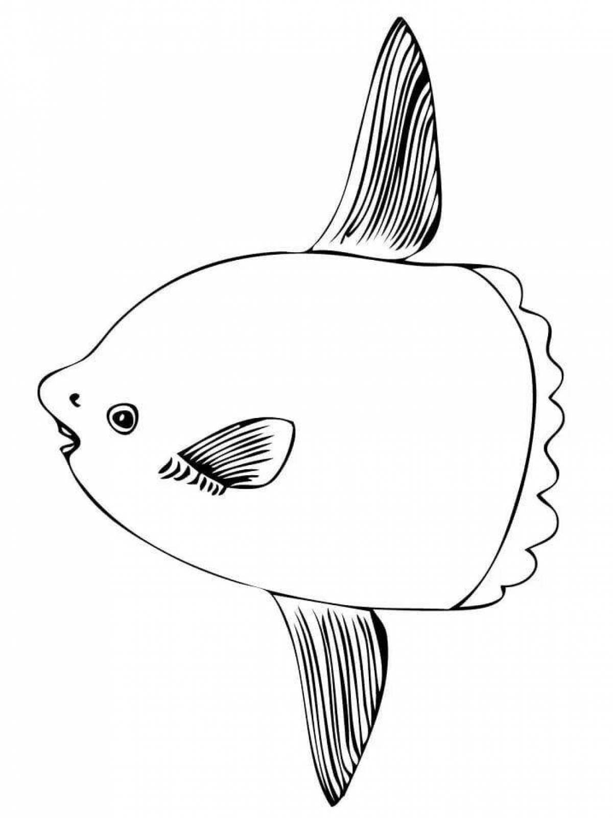 Фото Раскраска гипнотическая рыба-капля