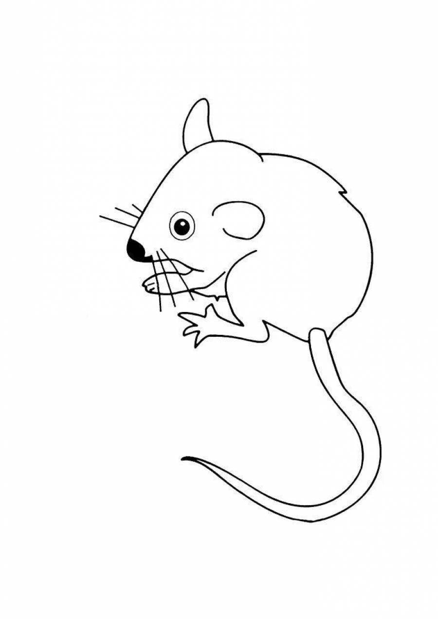Мышь раскраска