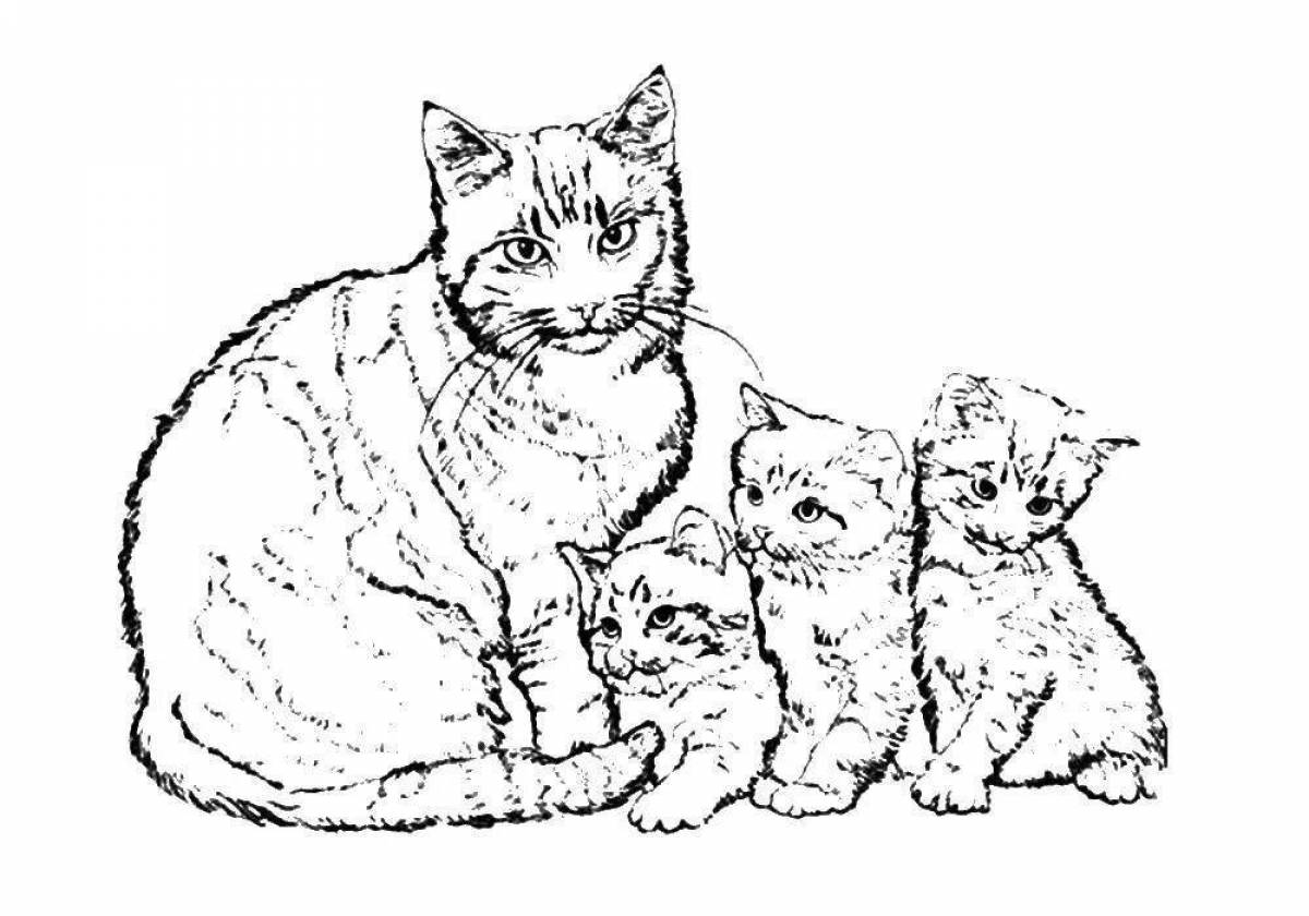 5 кошек раскраска. Кошки. Раскраска. Раскраска Кошачья семья. Раскраска кошка с котятами. Два котенка раскраска.