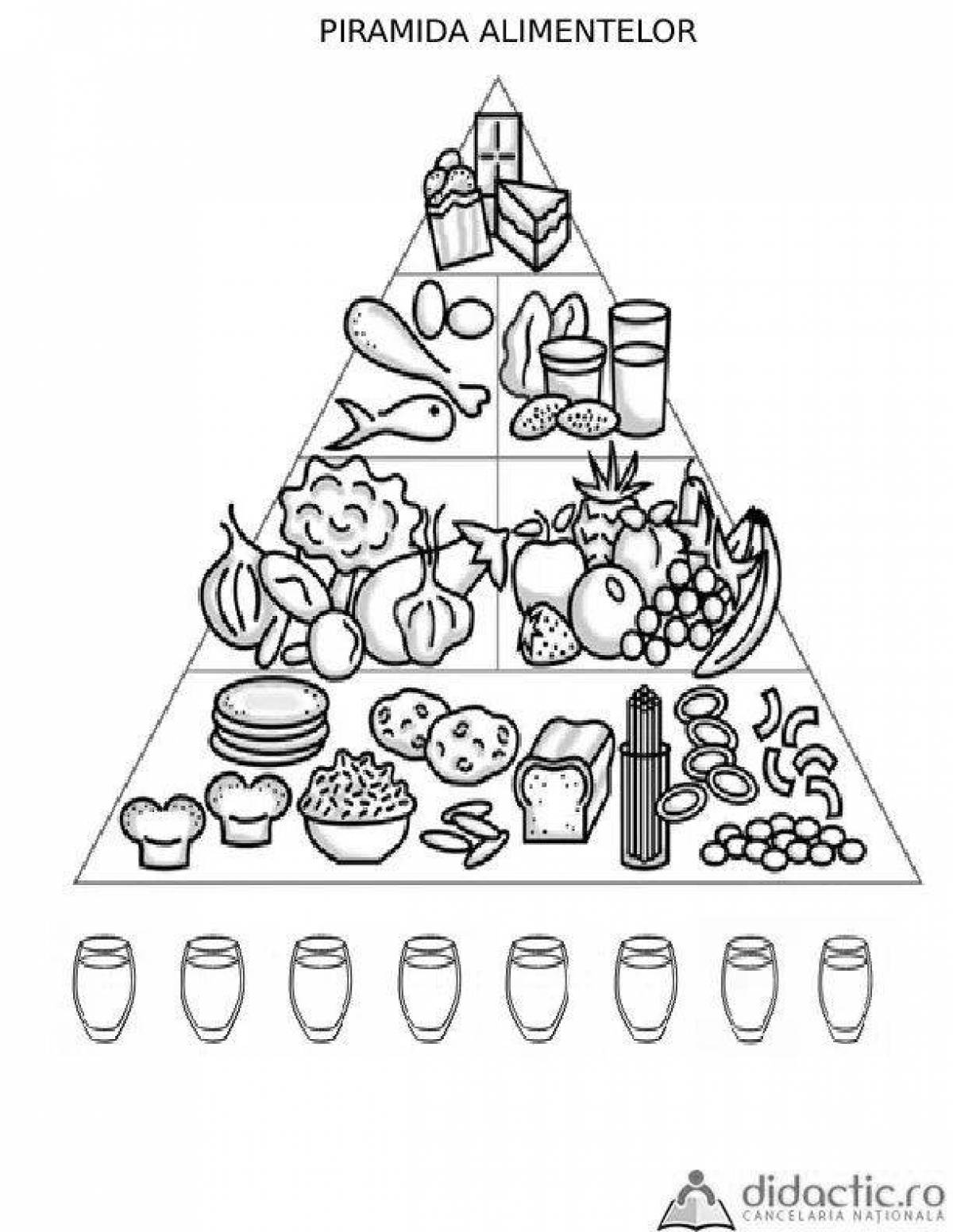 Пищевая пирамида раскраска