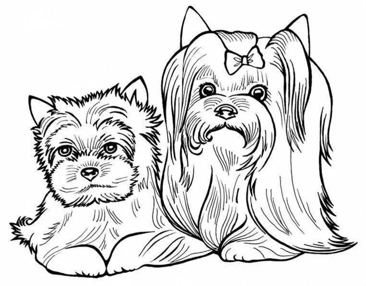 картинки раскраски собаки и щенки