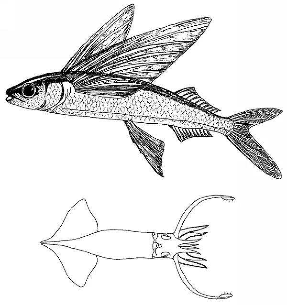 Рисунок летучей рыбы карандашом